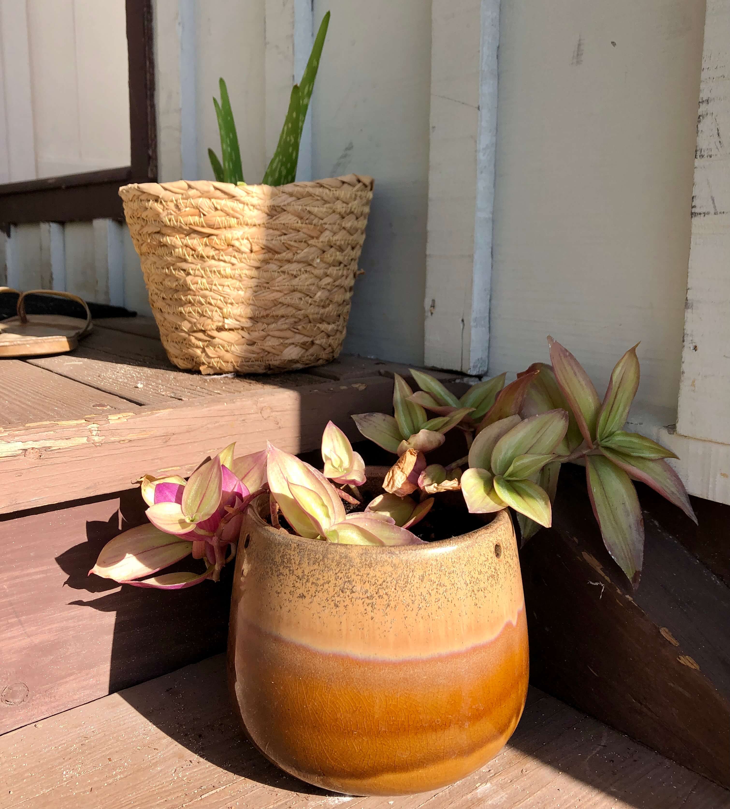 Two thrifted pots with plants sit on a porch which is a sustainable home decor option.