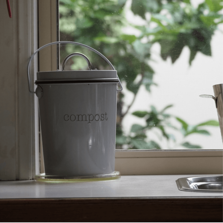 How to Compost in Your Dorm Room (Simple Tips!)