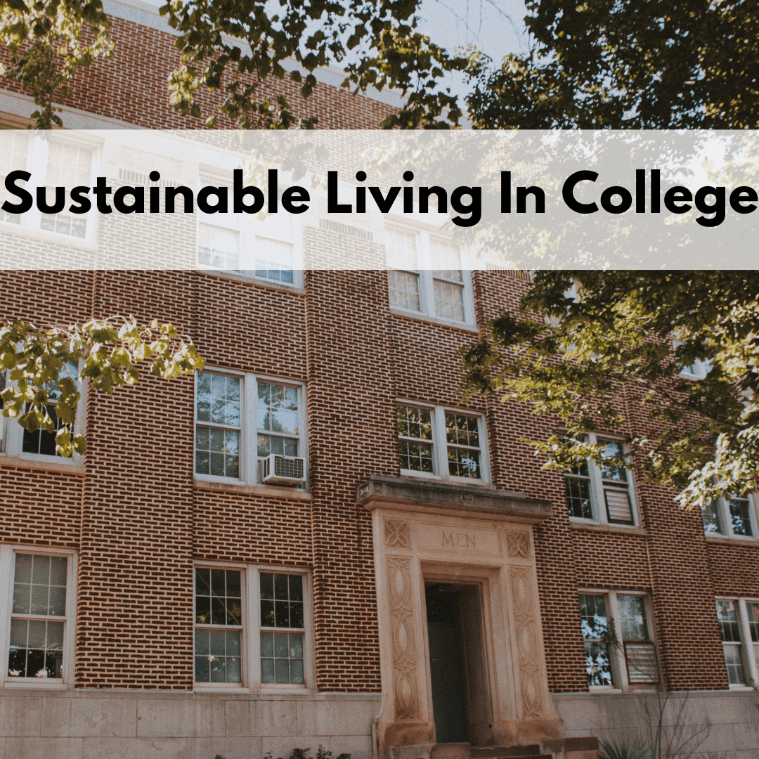 Image showcasing 10 Easy Sustainable Living Tips For College Students - Sustain Life Journal