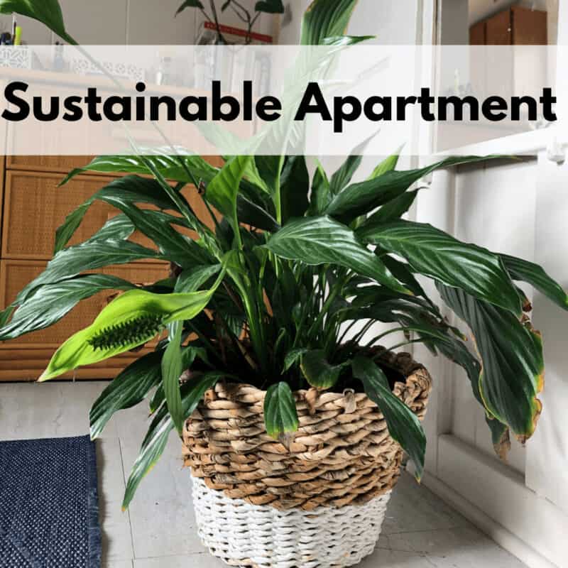 9 Best Sustainable Apartment Must Haves For Eco Friendly Living ...
