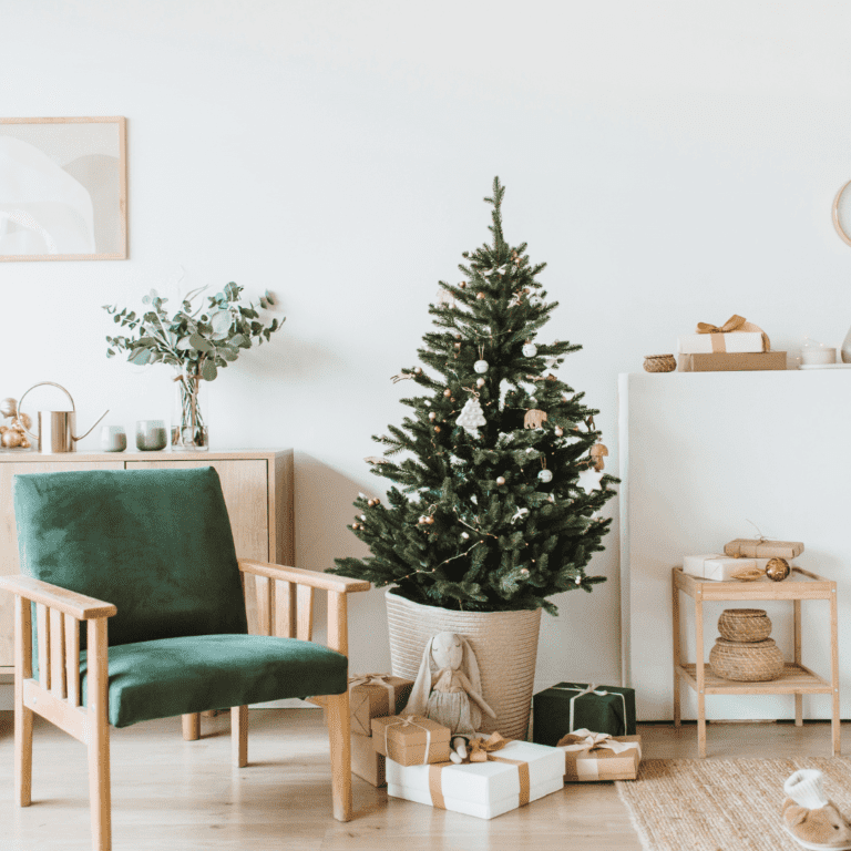 7 Amazing Sustainable Christmas Tree Ideas For Your Eco-Friendly Christmas Season