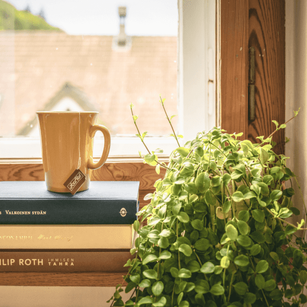 A cup of tea as a coffee swap which is on books and is near a plant