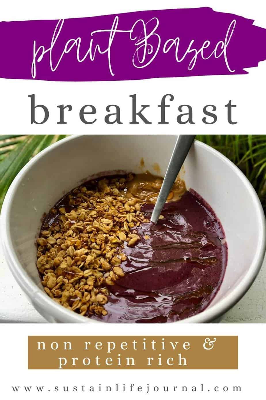 13 Amazing High Protein Vegan Breakfast Ideas You Will Look Forward To ...
