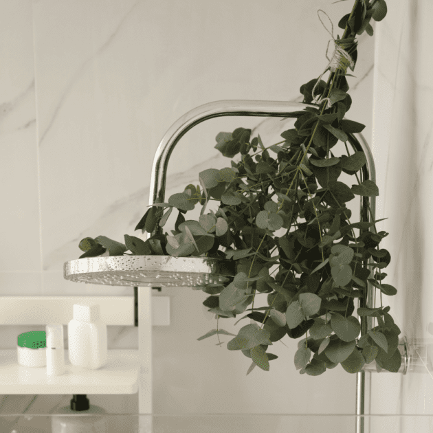 Eucalyptus tied onto a shower head in a bathroom