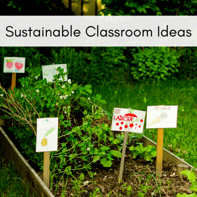 a school garden which promotes sustainability in schools