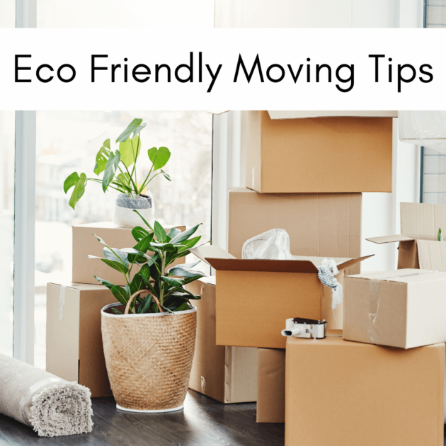 plants and boxes for an eco friendly moving process