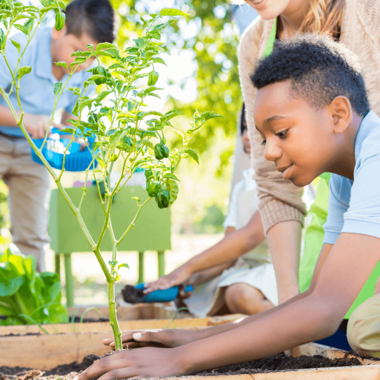 19 Important Eco Friendly Classroom Ideas to Teach Your Students about Sustainable Living