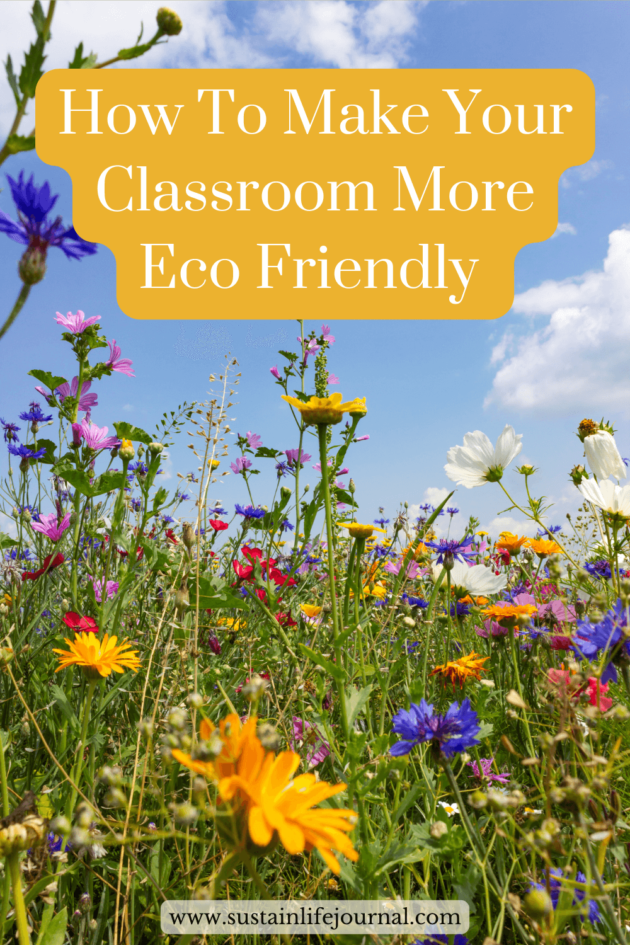 a field of flowers with text that talking about how to create an eco friendly classroom
