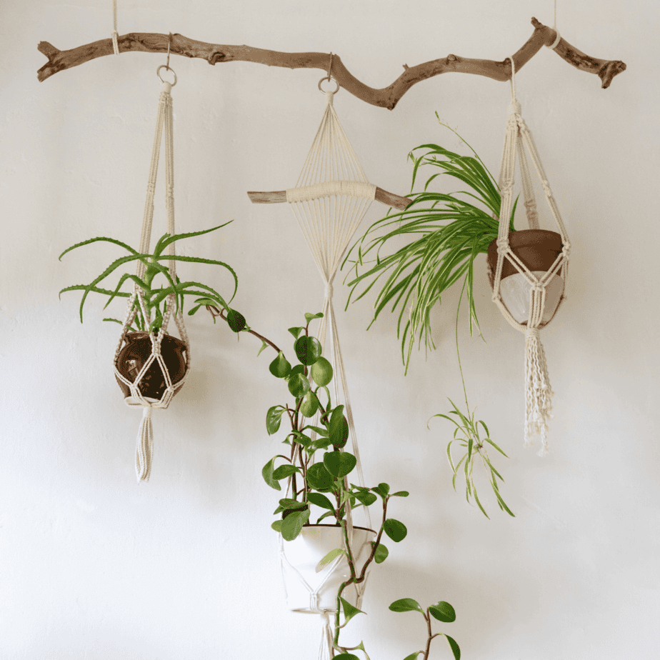 Curated visual reference: Gallery Detail: 7 Surprisingly Simple Tips For Choosing The Best Eco Friendly