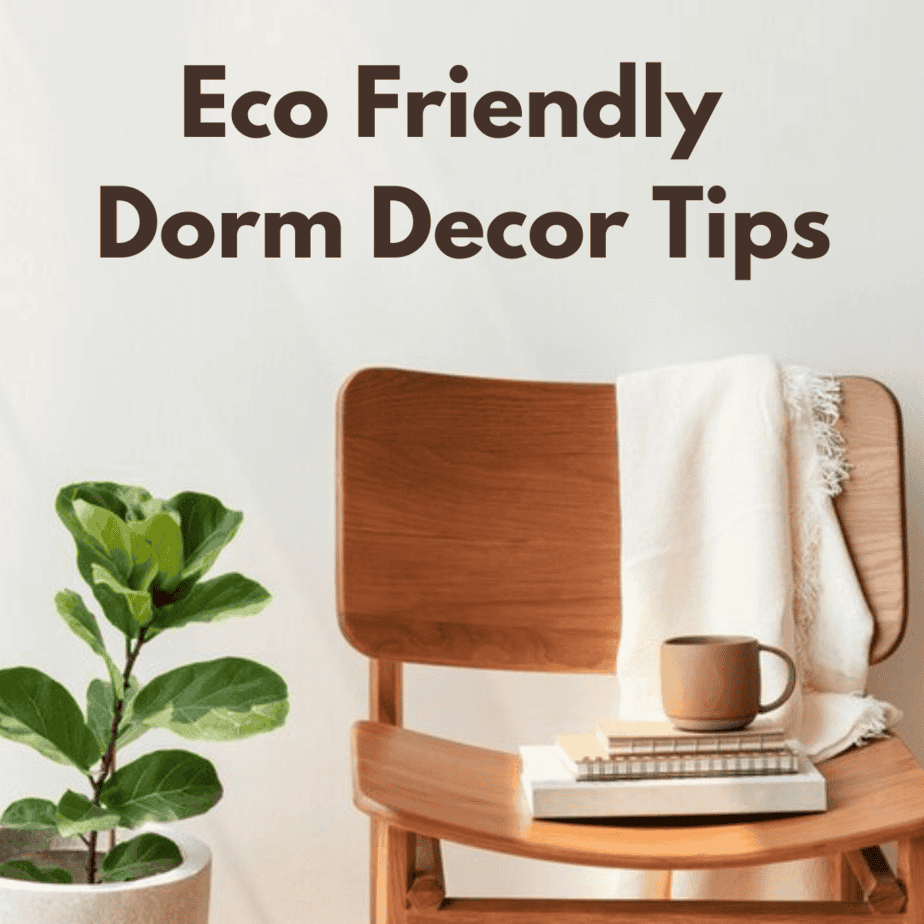 7 Surprisingly Simple Tips For Choosing the Best Eco Friendly Dorm ...