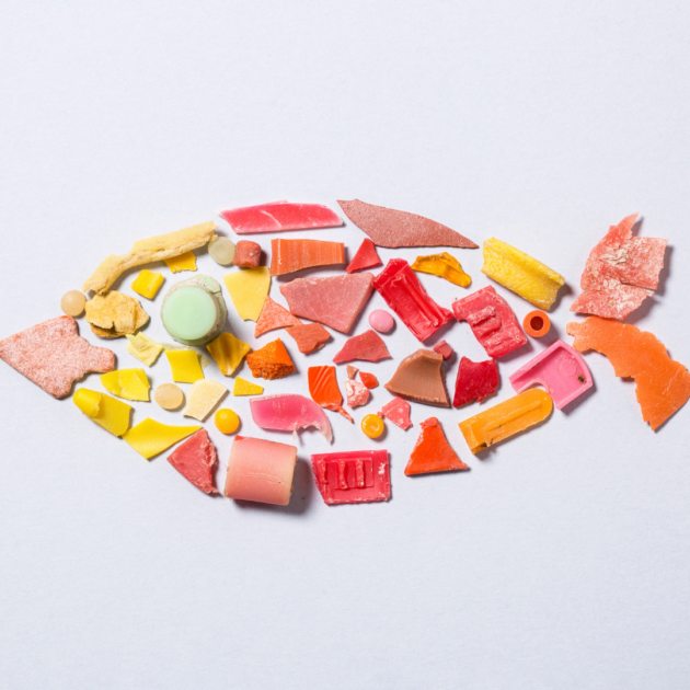 microplastic art that can be made on a fun date
