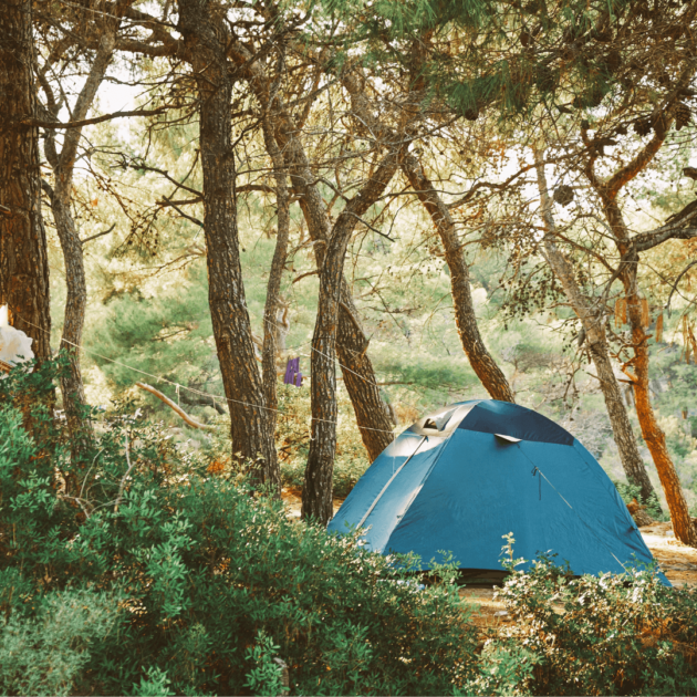a tent in the forest for an amazing camping trip