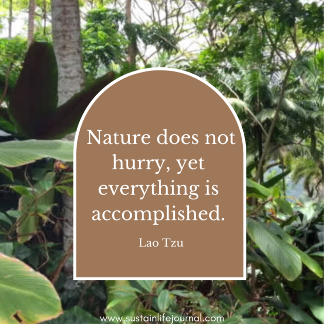 nature mindfullness quote in front of jungle