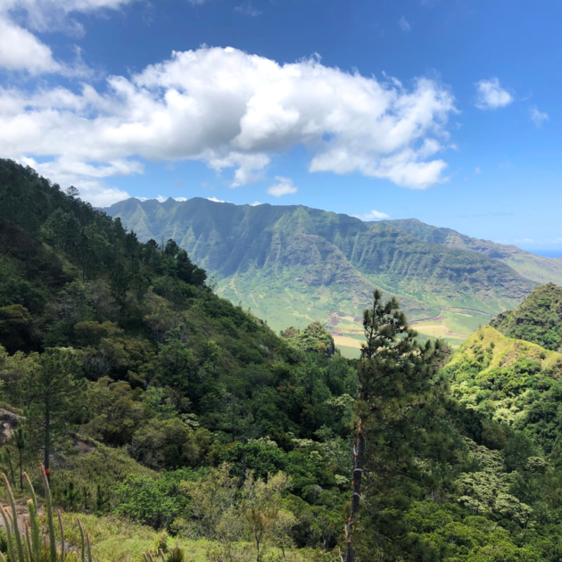 hiking trail in Hawaii