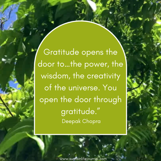 Gratitude quote on top of bright green leaves
