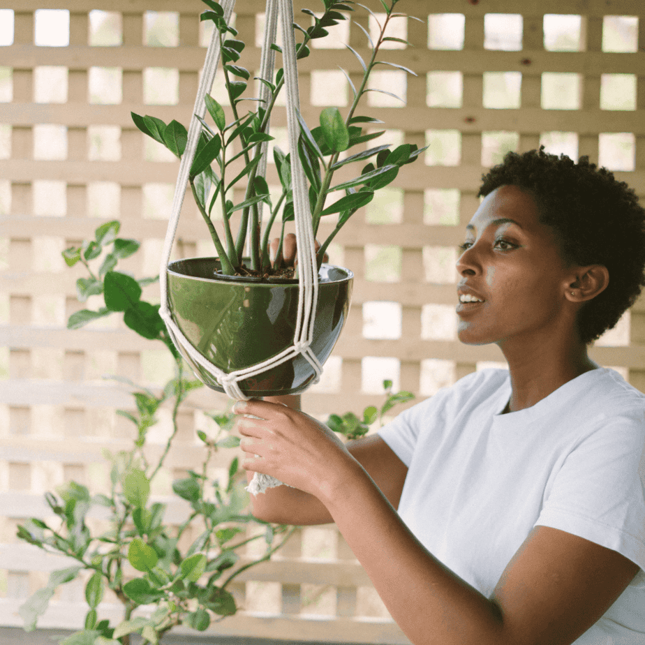 7 Best Hanging Plants for Your Shaded Porch To Create a Charming Oasis