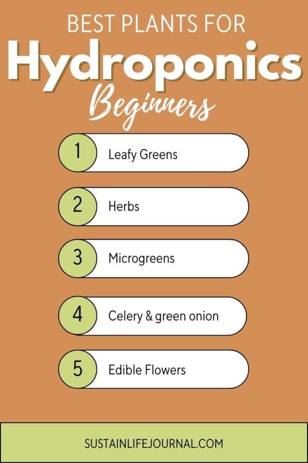 an infographic listing the best plants for hydroponic gardeners