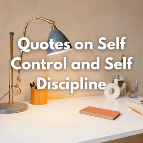 8 Empowering Quotes on Self Control and Discipline To Reach Your Goals ...
