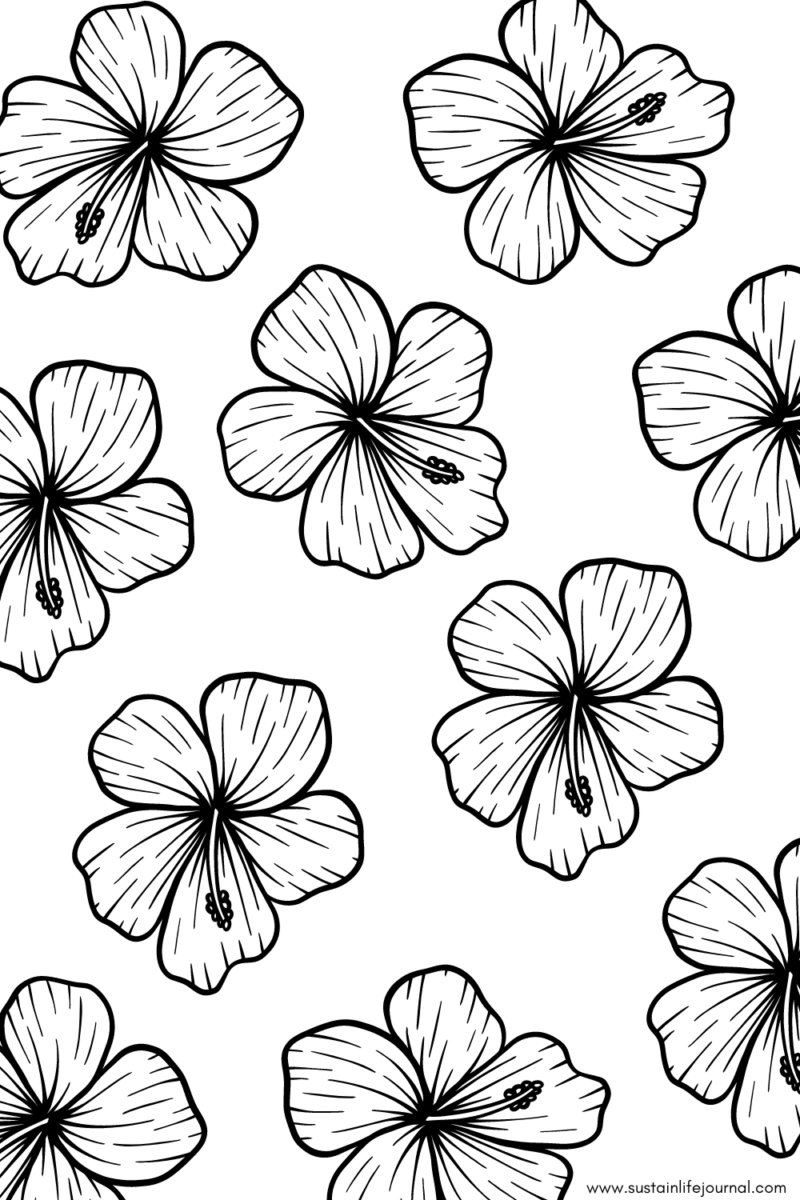 hibiscus pattern