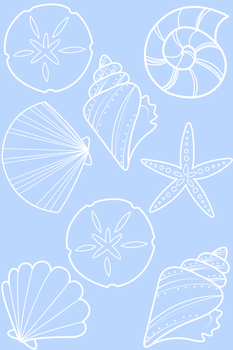 light blue seashell pattern wall decor