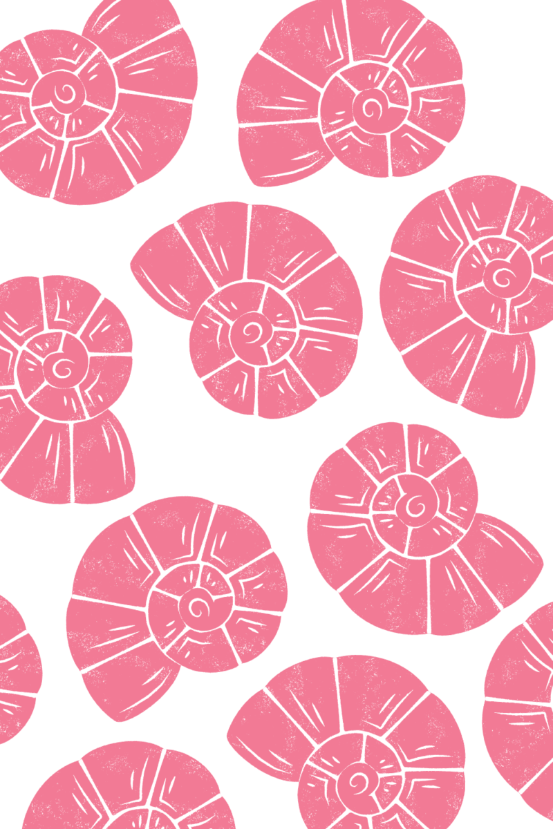 minimalist pink seashell art print