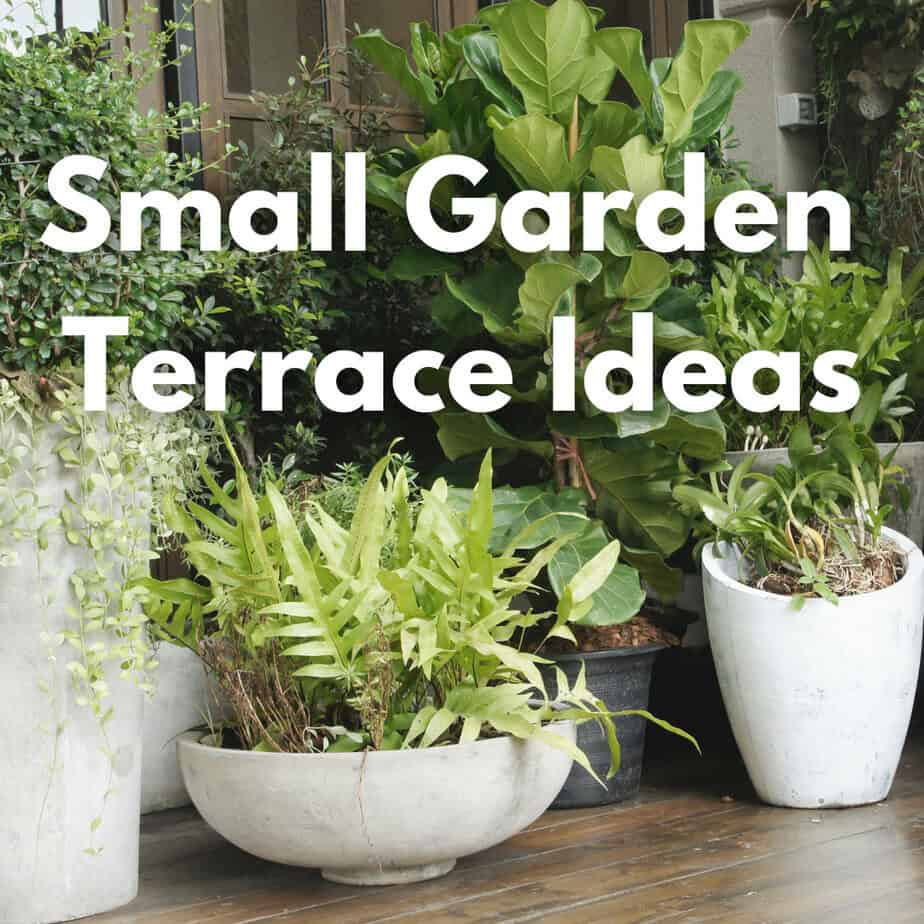 23 Beginner-Friendly Terrace Gardening Ideas For Your Cozy Apartment ...