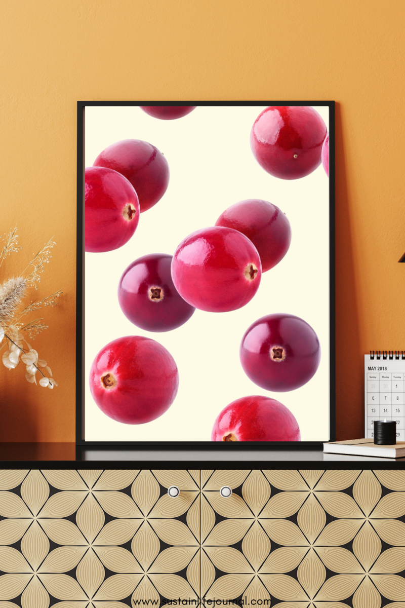 cranberry Thanksgiving wall art print