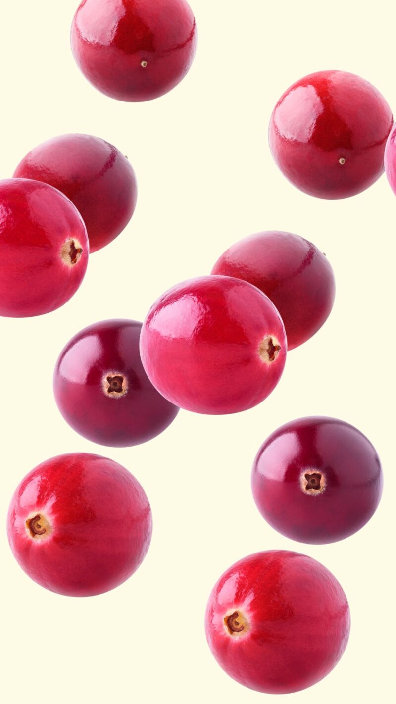 cranberry Thanksgiving wall art print