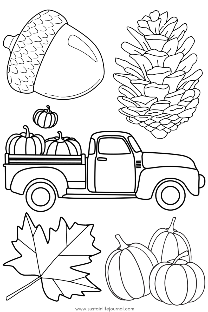 fall coloring page with fall leaves, pumpkins, acorn and pinecone