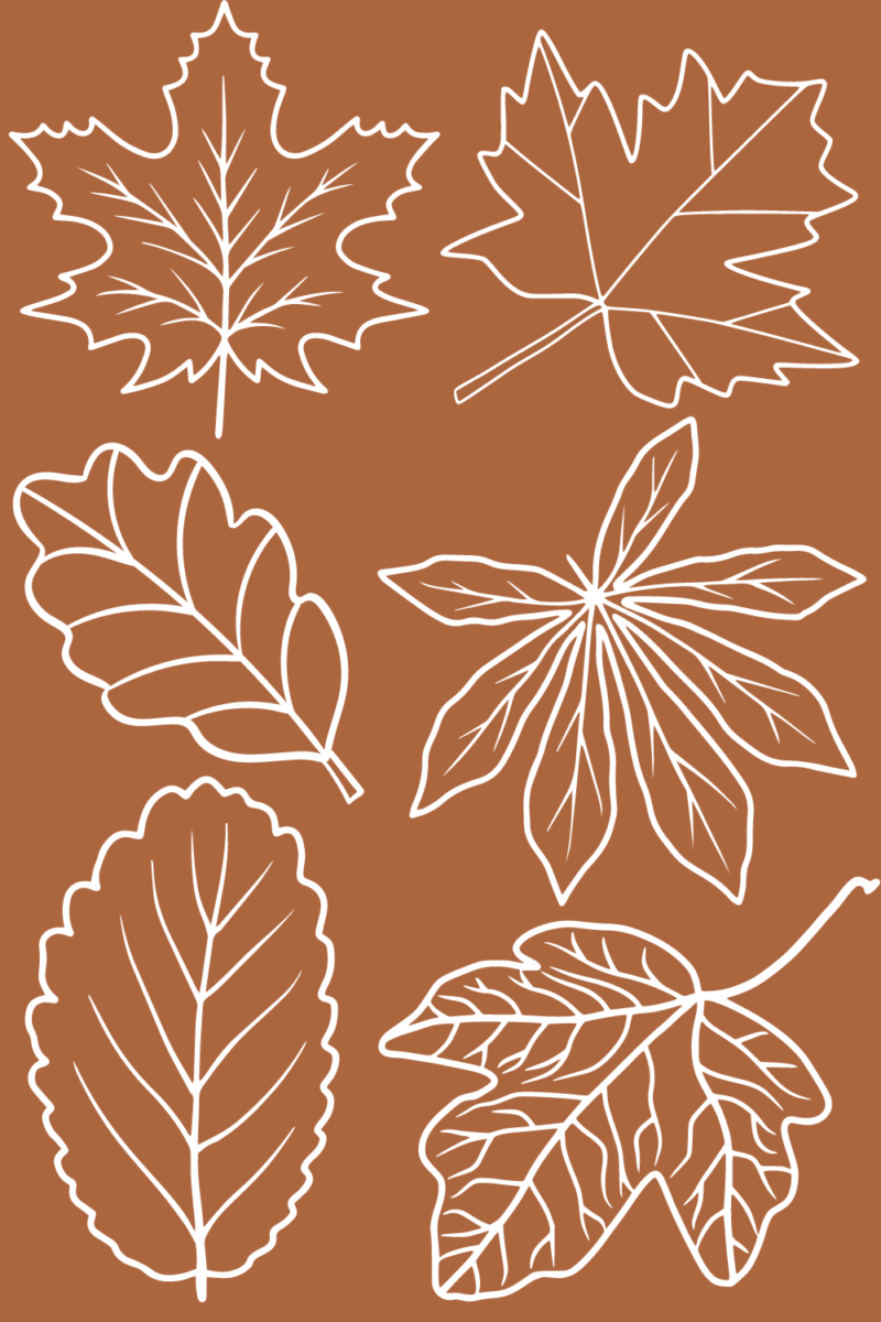 fall leaf pattern coloring page