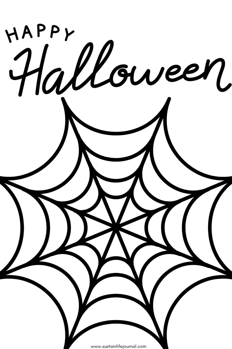 Spider web coloring page for kids