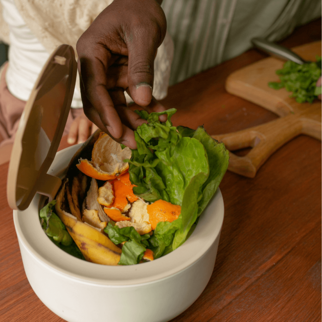 composting food scraps