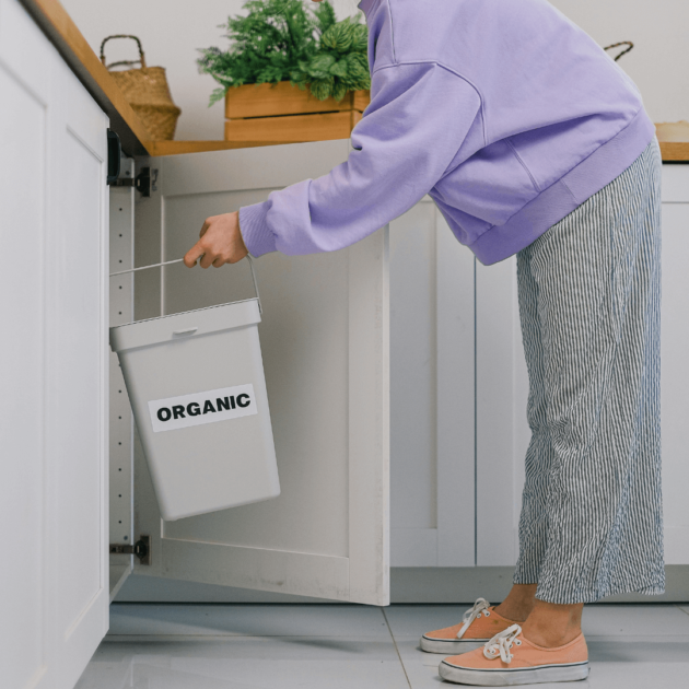 compost bin in kitchen