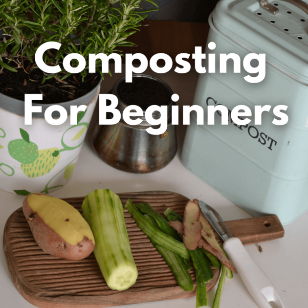 compost in a kitchen