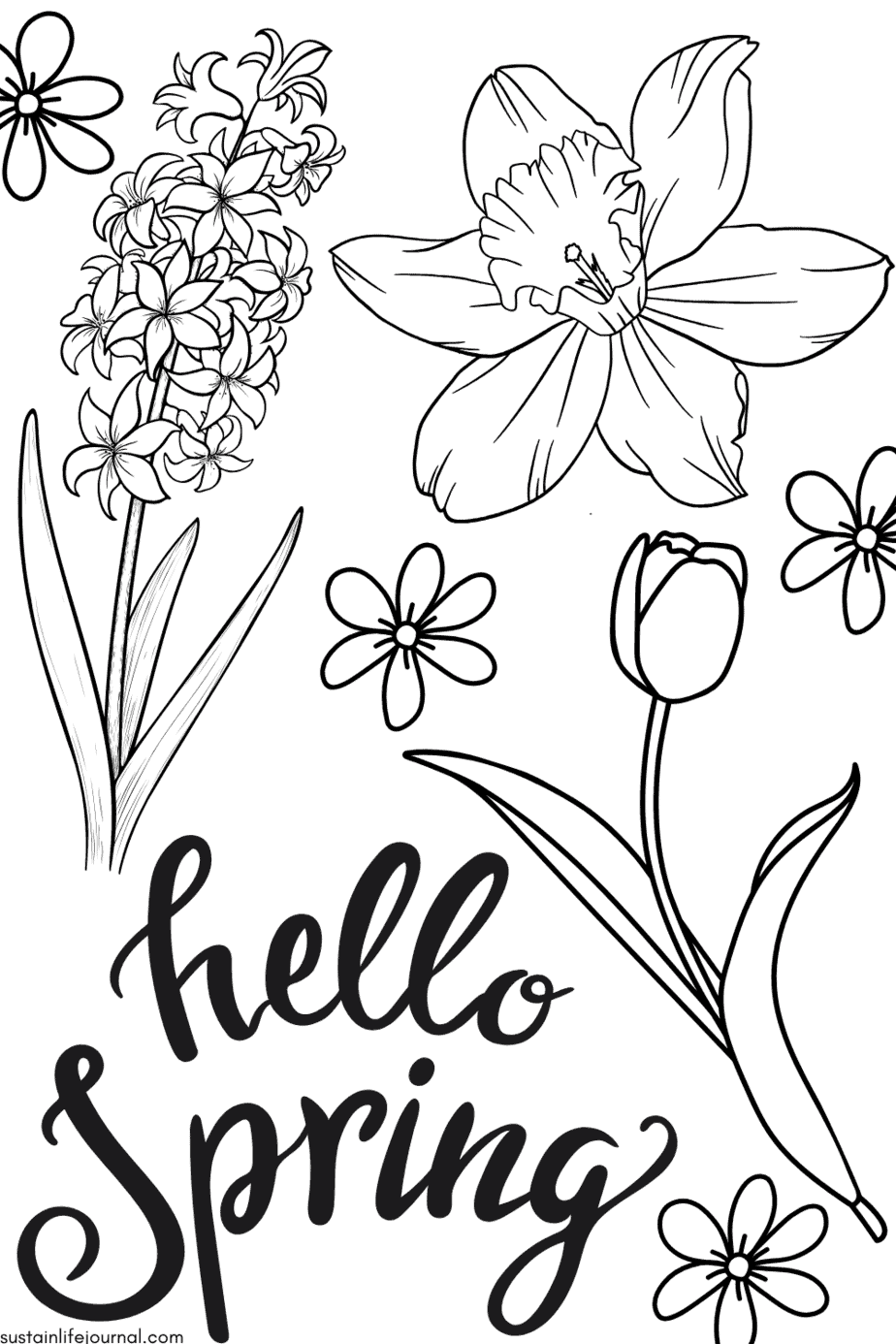 Spring Coloring Sheets