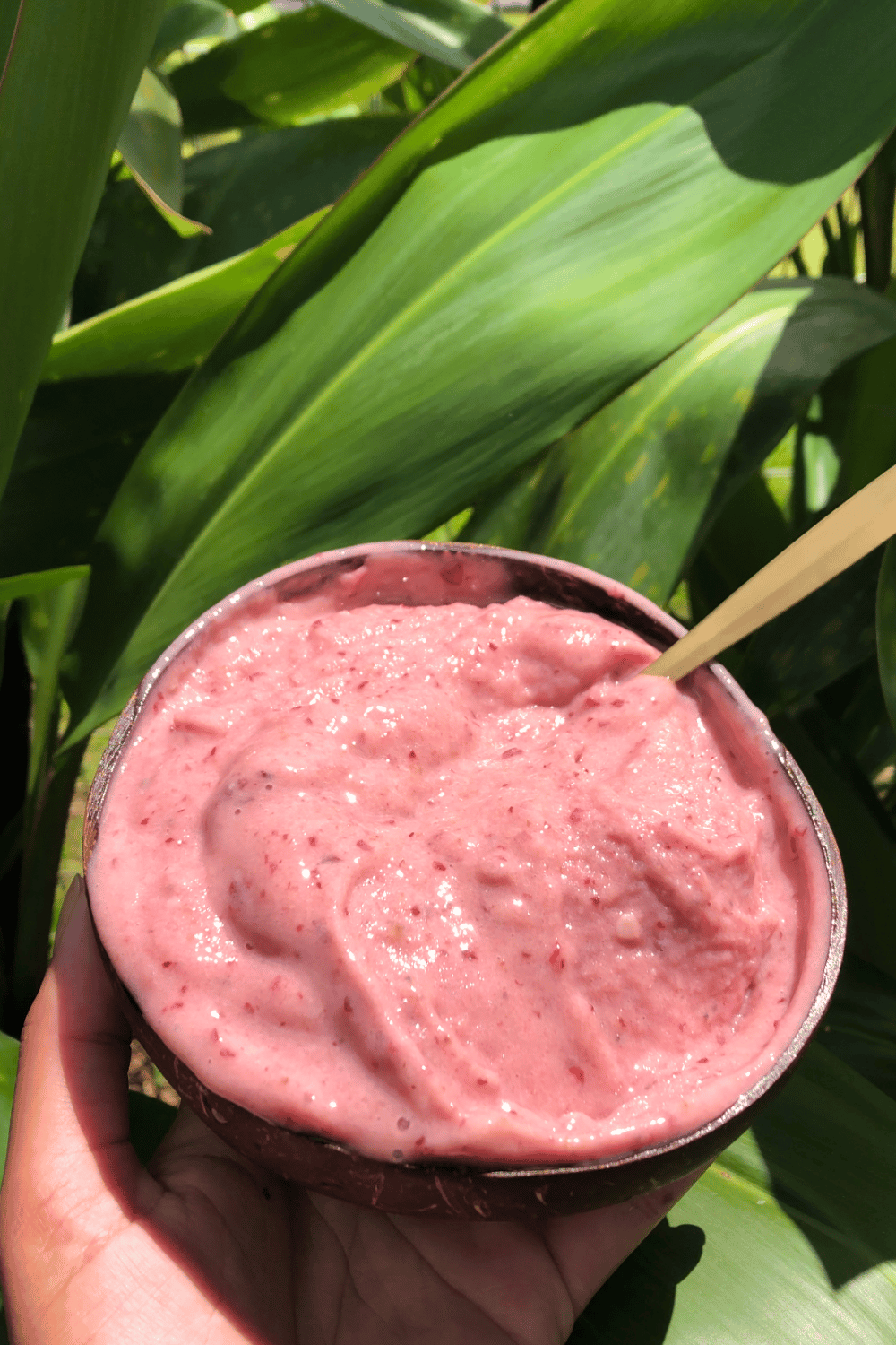 pink banana ice cream