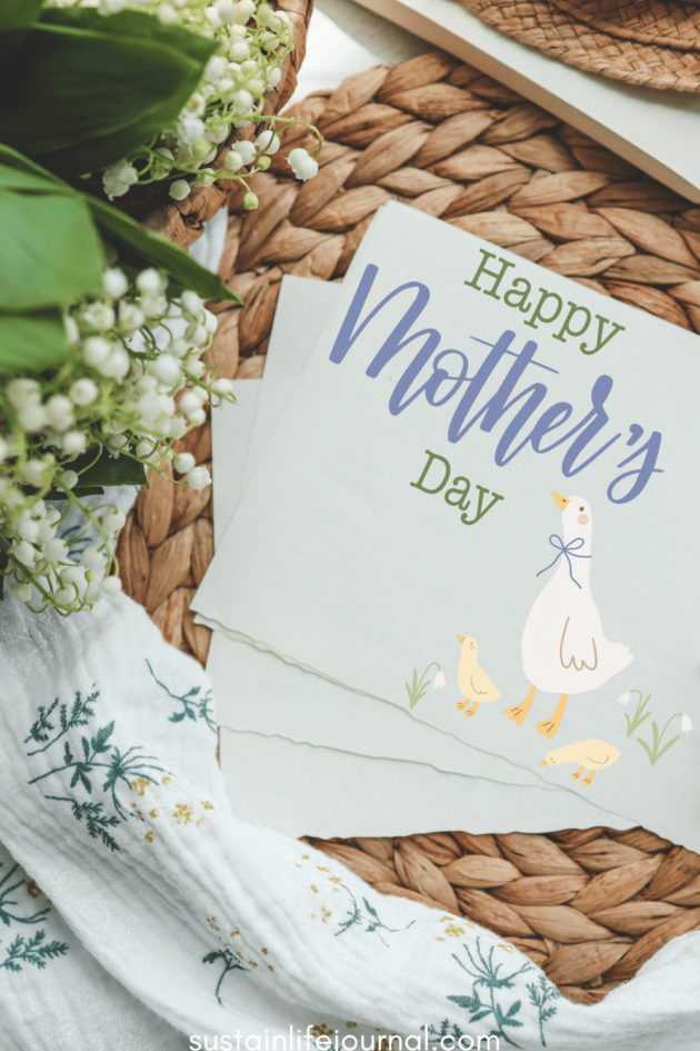 DIY mother's day card with drawing of mother duck and baby ducks